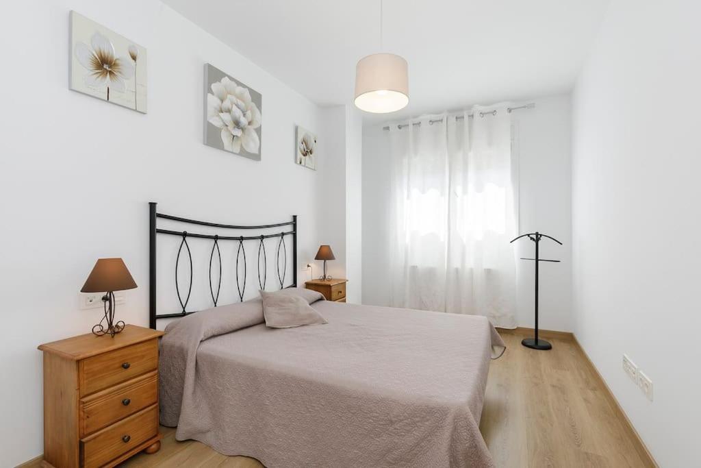 Apartamento Fenix 格拉纳达 外观 照片